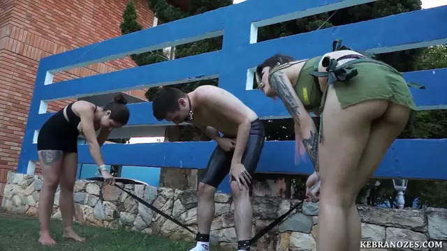 Poster: Kebranozes Testicular rupture gang