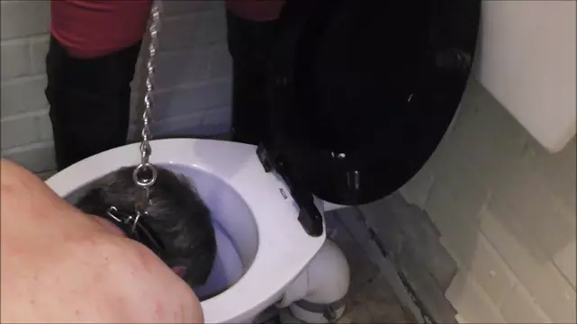 Poster: The Toilet Licker - Mistress Elise