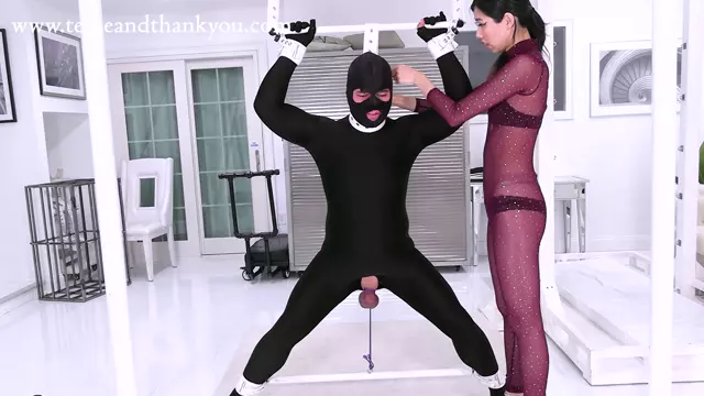 Poster: TeaseandThankYou - Sylvie - Strong Stance To Take