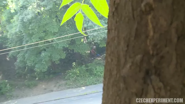 Poster: Pavlina - Czech Experiment 12 HD