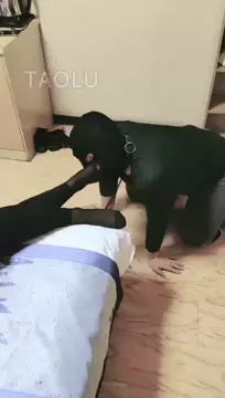 Poster: Husband and wife train bitch