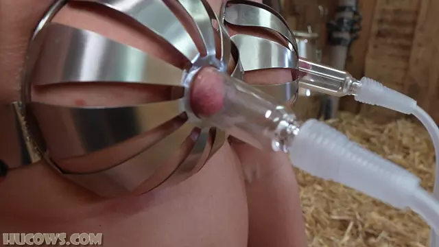 Poster: Hucows – Darina – chastity milking