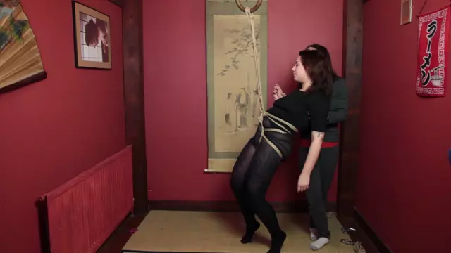 Poster: Hip Harness suspension demo