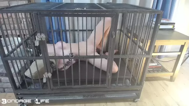 Poster: BondageLife – Cage Time With Greyhound – Rachel Greyhound