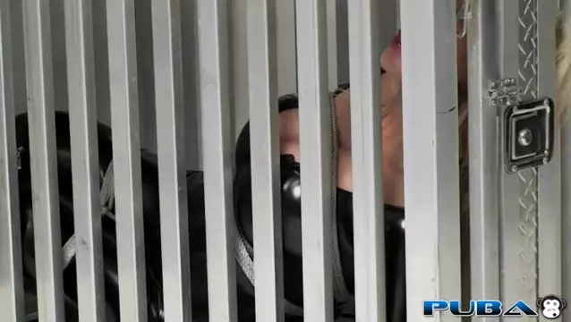 Poster: PUBA - Shyla Is Caged Up And Bound Poster: PUBA - Shyla Is Caged Up And Bound